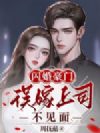 闪婚豪门,误嫁上司不见面